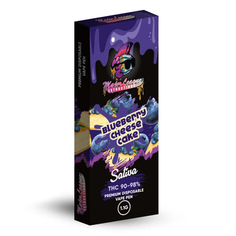 Blueberry Cheesecake_