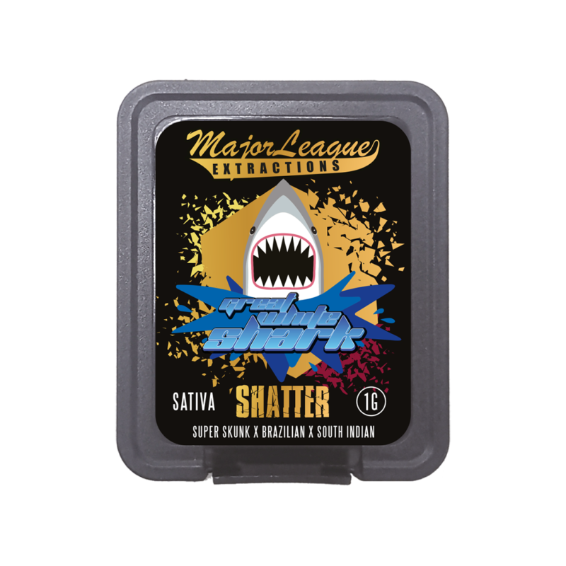 Major Shatter Great White Shark