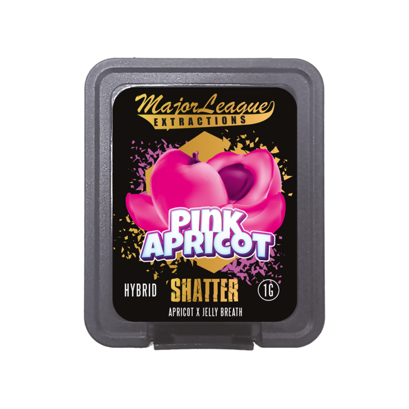 Major Shatter Pink Apricot