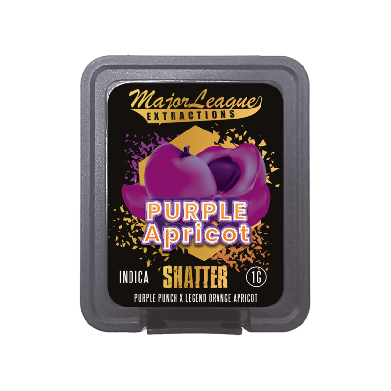 Major Shatter Purple Apricot